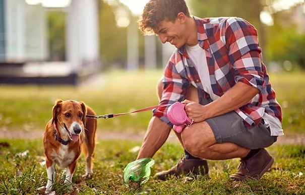 El color de las heces de su perro puede ser un indicador importante si de la salud de nuestros canes se trata.