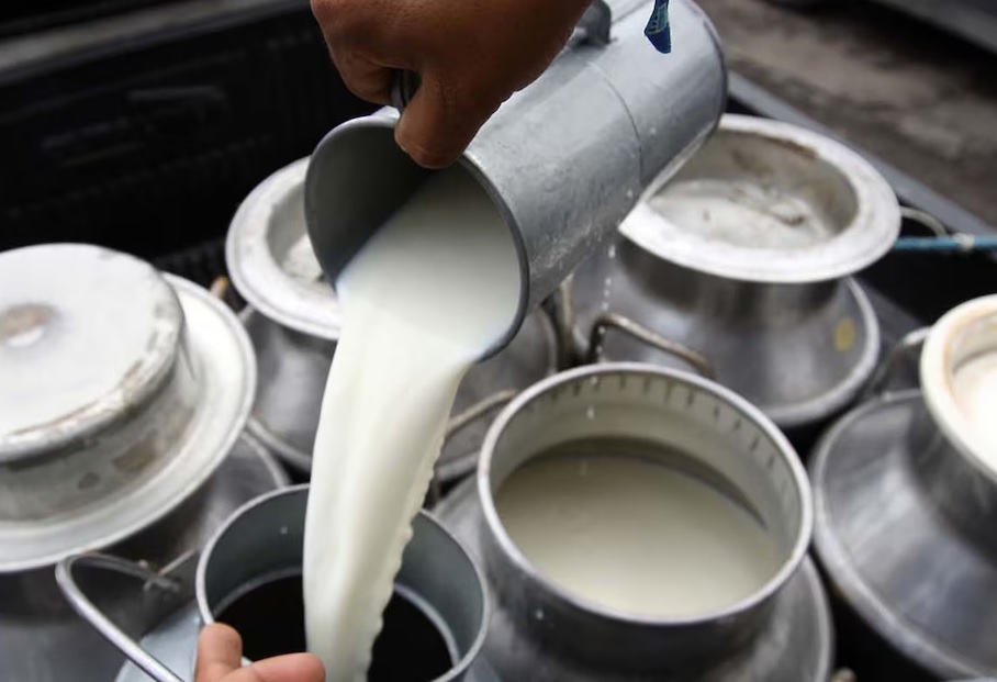 A partir del 1 de junio de 2025, el precio referencial del litro de leche UHT en funda aumentará a 0,96 cetavos de dólar en Ecuador.