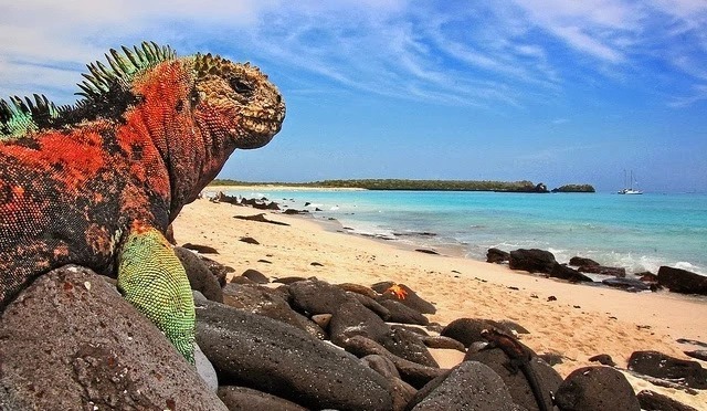 Ecuador revela estudio pionero sobre cuentas ecosistémicas de Galápagos