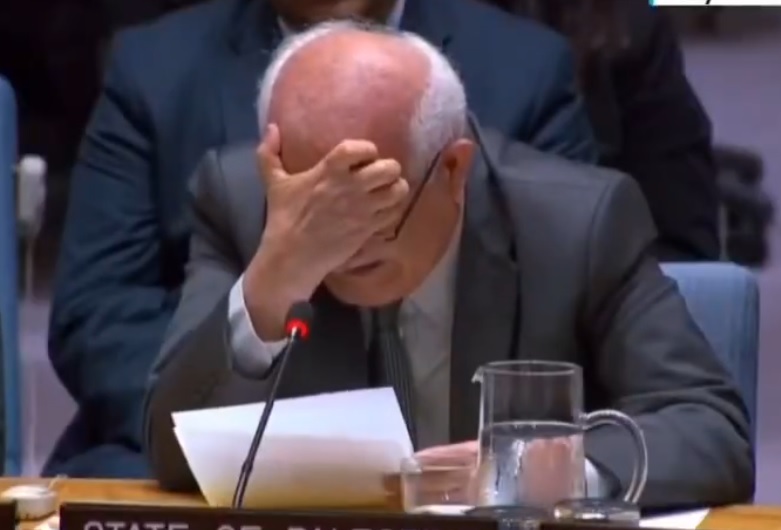 El embajador de la Misión de Observación de Palestina ante las Naciones Unidas, Riyad Mansour, no pudo contener las lágrimas.