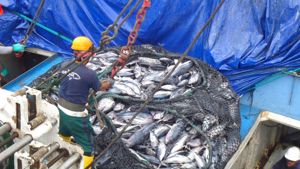 El sector atunero de Ecuador consume cerca de 43 millones de galones de diésel al año, según la Cámara Nacional de Pesquería