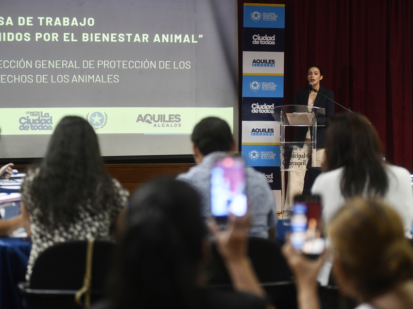 Municipio de Guayaquil reunió a organizaciones para acordar acciones urgentes frente al aumento de denuncias por abandono, maltrato animal.