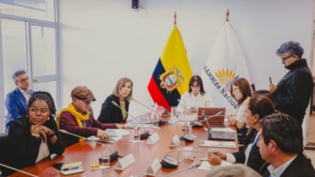 Comisión de la Niñez promueve fiscalización a entidades del sistema judicial por casos de violencia a menores de edad sin sentencia. (AN).