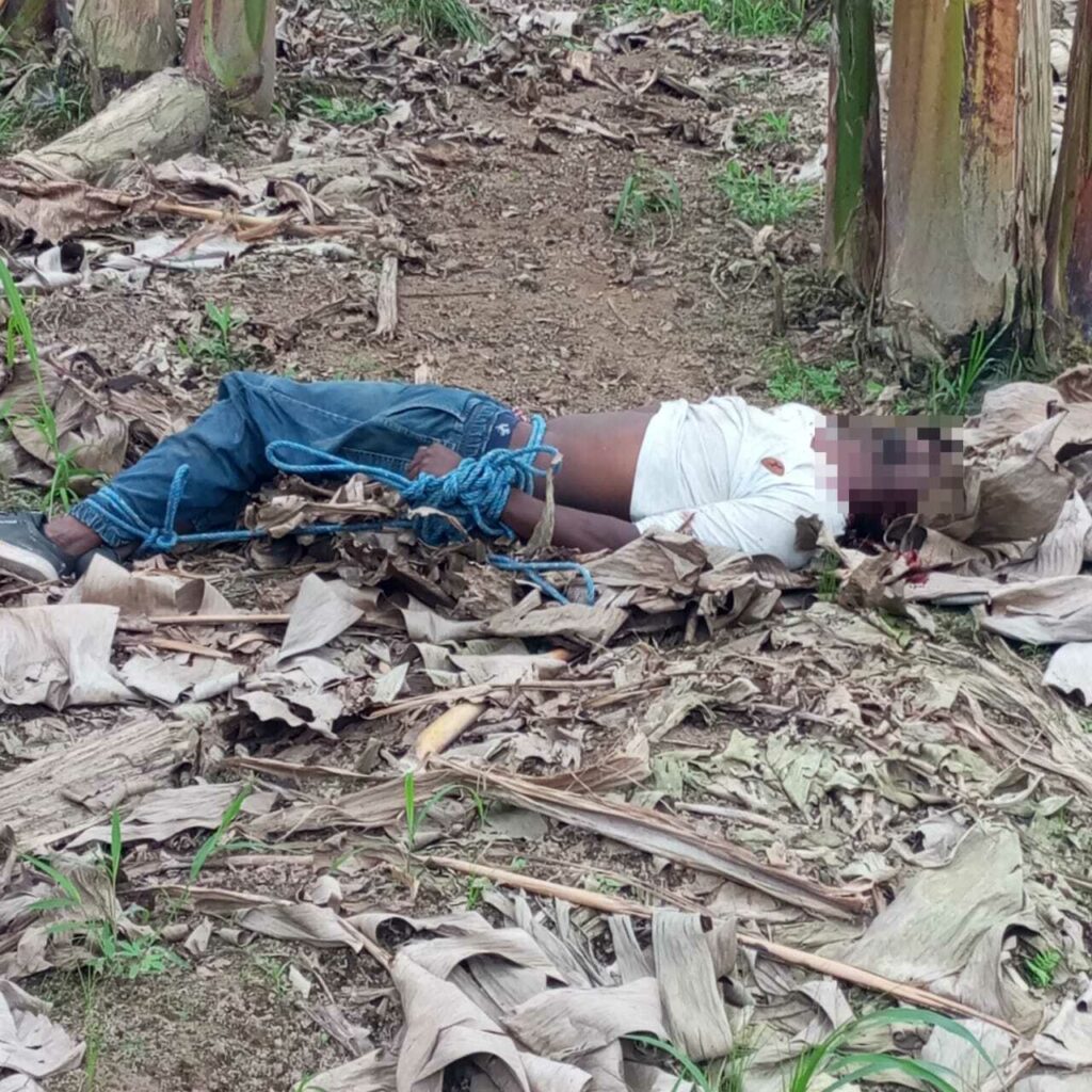 Hombre fue asesinado en una platanera de Santo Domingo; estaba atado y tenía impactos de bala