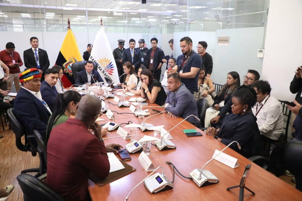 Una sesión de la La Comisión de Fiscalización y Control Político de la Asamblea Nacional. FOTO: @AsambleaEcuador.