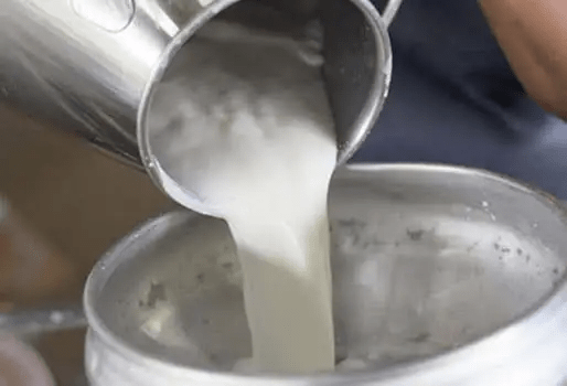 La leche ecuatoriana conquista un nuevo mercado en Centroamérica