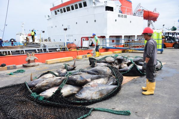 La flota atunera ecuatoriana, la más potente del Pacífico Oriental, tiene base principal en Manta.