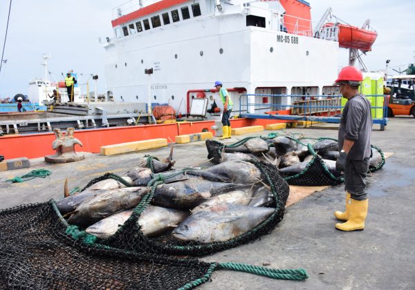 La flota atunera ecuatoriana, la más potente del Pacífico Oriental, tiene base principal en Manta.