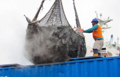 En 2024, el sector pesquero generó exportaciones por 2.527 millones de dólares, de los cuales el 70% (1.770 millones) provino del sector atunero.