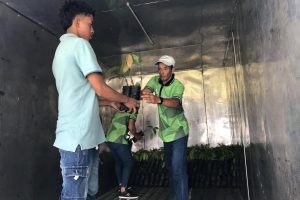 Los alumnos de la carrera de agronomía también brindan asistencia técnica a los agricultores de cacao.