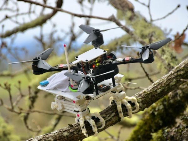 Un robot con patas inspiradas en el halcón para posarse como un pájaro