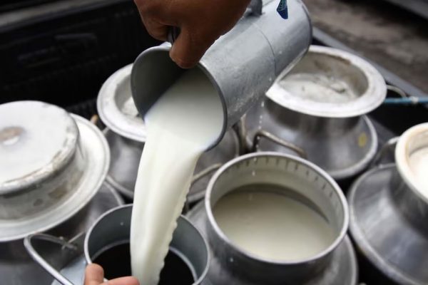 A partir del 1 de junio de 2025, el precio referencial del litro de leche UHT en funda aumentará a 0,96 cetavos de dólar en Ecuador.