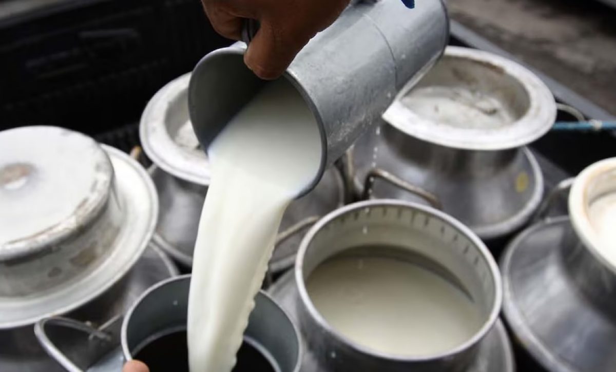 A partir del 1 de junio de 2025, el precio referencial del litro de leche UHT en funda aumentará a 0,96 cetavos de dólar en Ecuador.