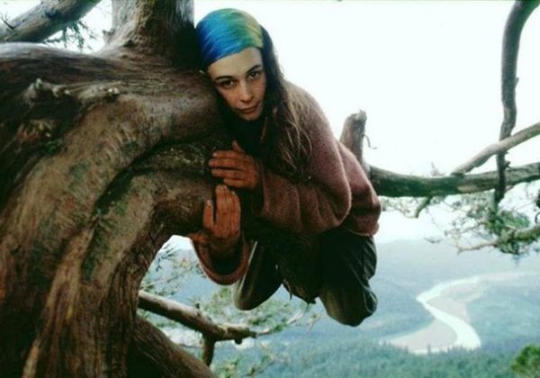Julia "Butterfly" Hill, una activista ambiental, vivió 738 días en una secuoya milenaria de 1.500 años para evitar su tala.