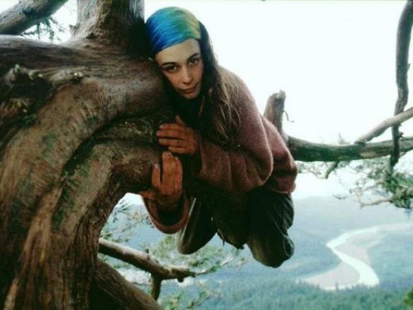 Julia "Butterfly" Hill, una activista ambiental, vivió 738 días en una secuoya milenaria de 1.500 años para evitar su tala.
