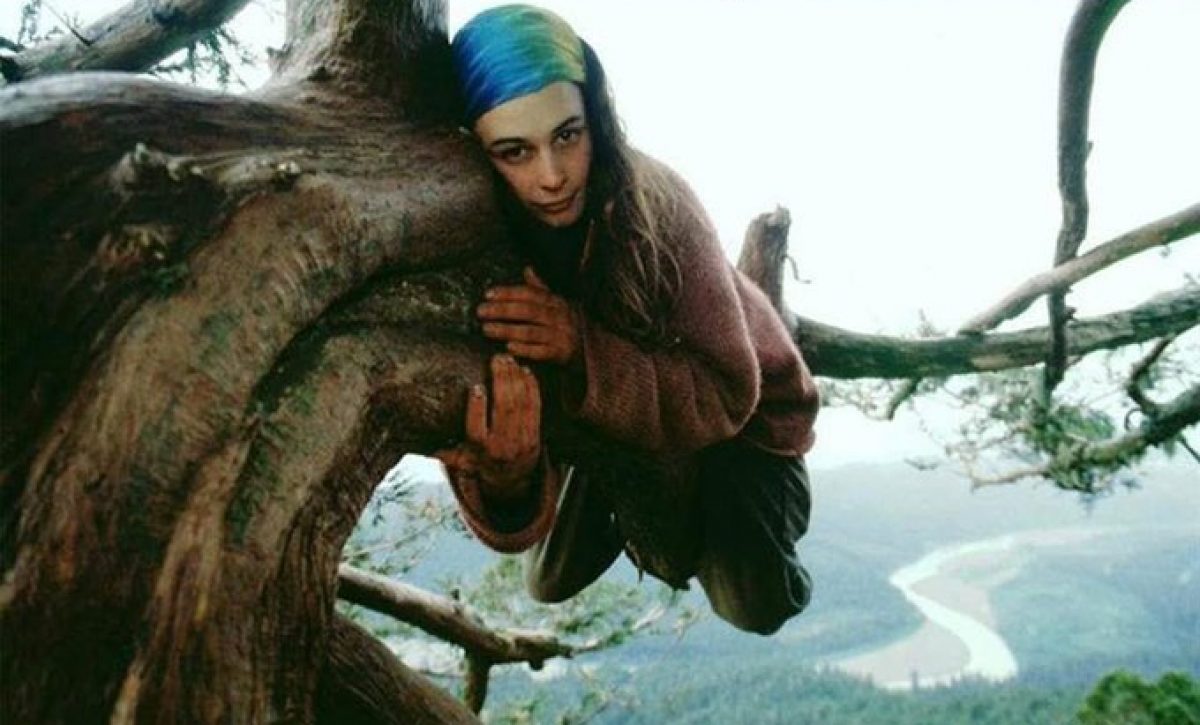 Julia "Butterfly" Hill, una activista ambiental, vivió 738 días en una secuoya milenaria de 1.500 años para evitar su tala.