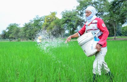 América Latina y el arroz Brasil, Perú y Ecuador destacan por el consumo de este grano, que es fundamental en su alimentación