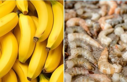 Aranceles Estados Unidos camarón y banano ecuatoriano enfrentan desventajas competitivas frente a países como Colombia, México y Brasil