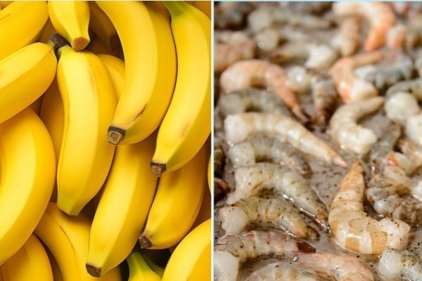Aranceles Estados Unidos camarón y banano ecuatoriano enfrentan desventajas competitivas frente a países como Colombia, México y Brasil