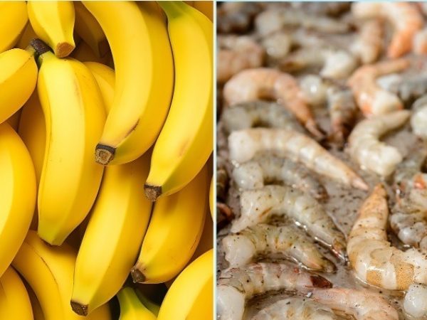 Aranceles Estados Unidos camarón y banano ecuatoriano enfrentan desventajas competitivas frente a países como Colombia, México y Brasil