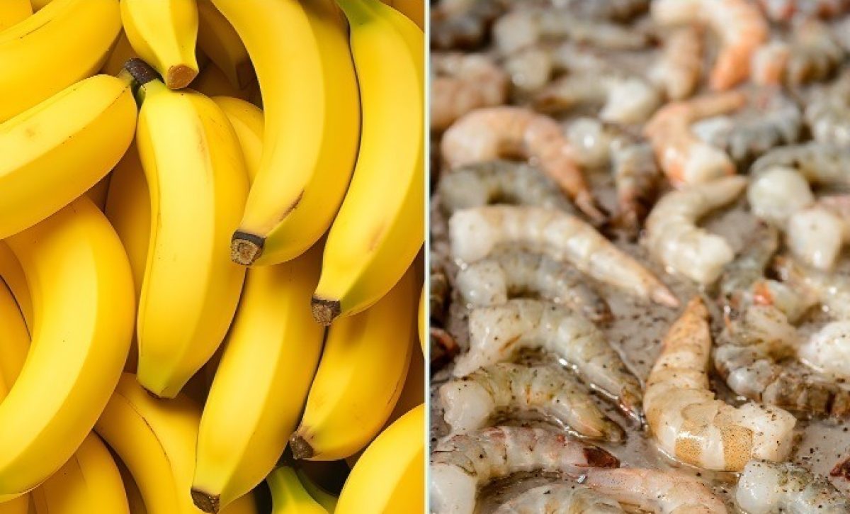 Aranceles Estados Unidos camarón y banano ecuatoriano enfrentan desventajas competitivas frente a países como Colombia, México y Brasil