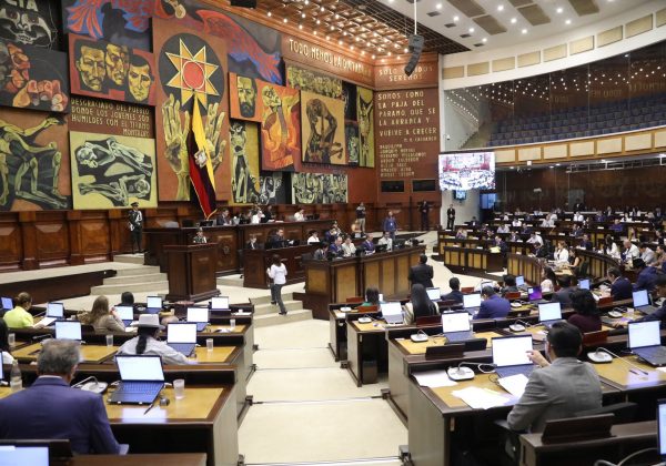 Asamblea Nacional archiva el proyecto de Ley Orgánica Reformatoria a la Ley de Discapacidades: ¿Qué sigue ahora?