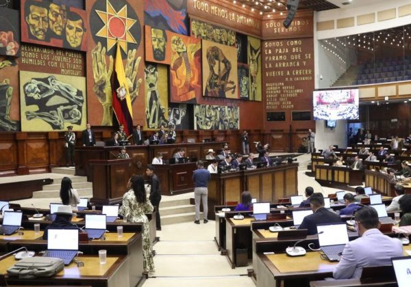Bancada de Revolución Ciudadana apela la presidencia de Niels Olsen en la Asamblea tras un polémico pedido. (Asamblea Nacional).
