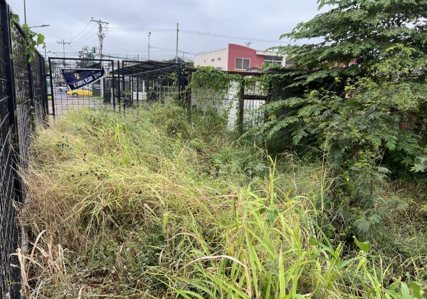 El centro de salud está junto al terreno del exaeropuerto Reales Tamarindos.