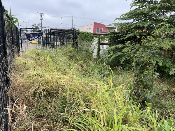El centro de salud está junto al terreno del exaeropuerto Reales Tamarindos.