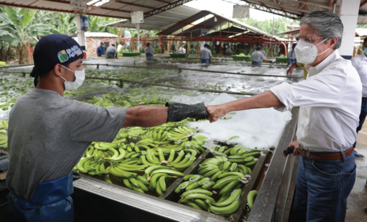 CREO-2020-GL-agricultura