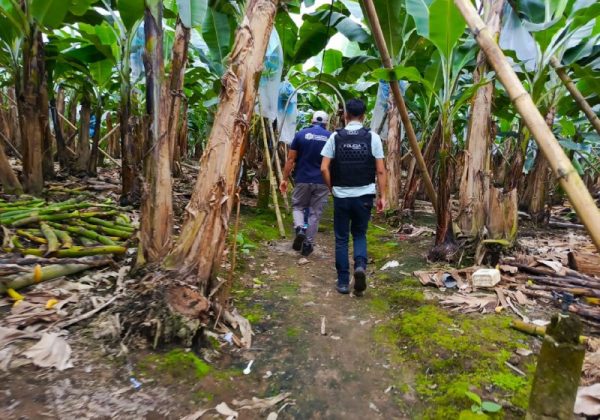 Conductor de tricimoto fue hallado maniatado y quemado en Buena Fe
