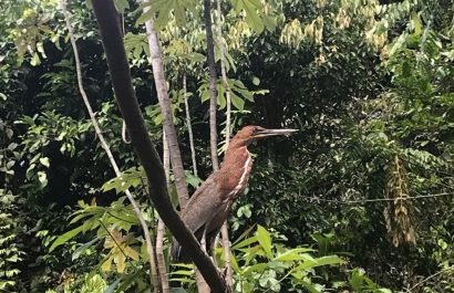 Ecuador Un llamado urgente en el Día Internacional de la Diversidad Biológica