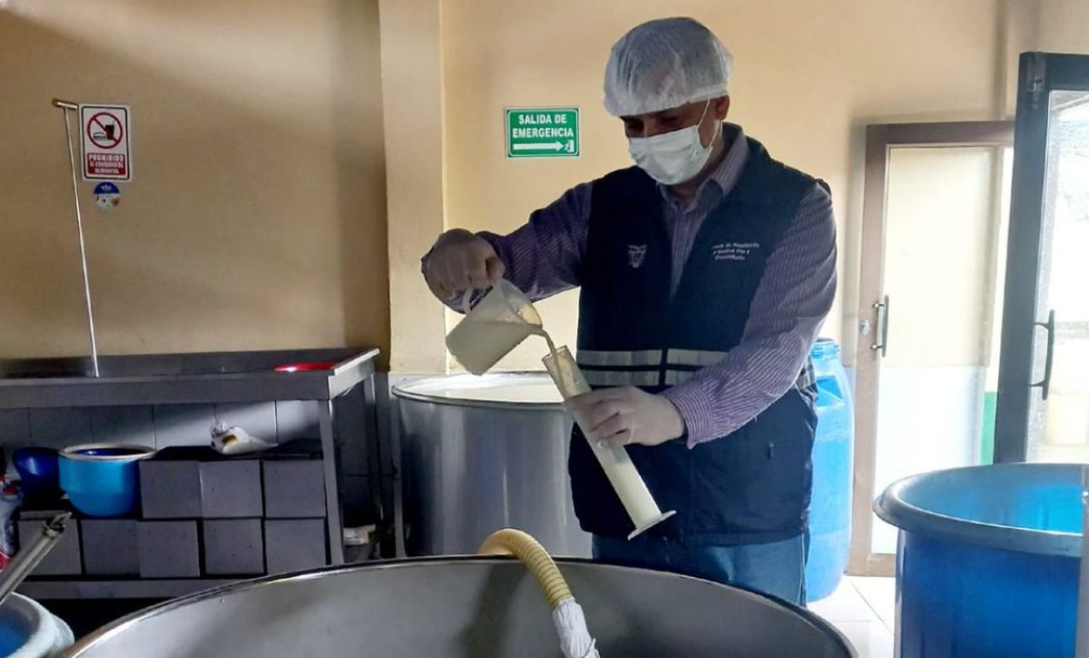 Ecuador exporta 19 mil litros de leche a El Salvador, este lote saldrá este miércoles desde un puerto de Guayaquil. (Agrocalidad).