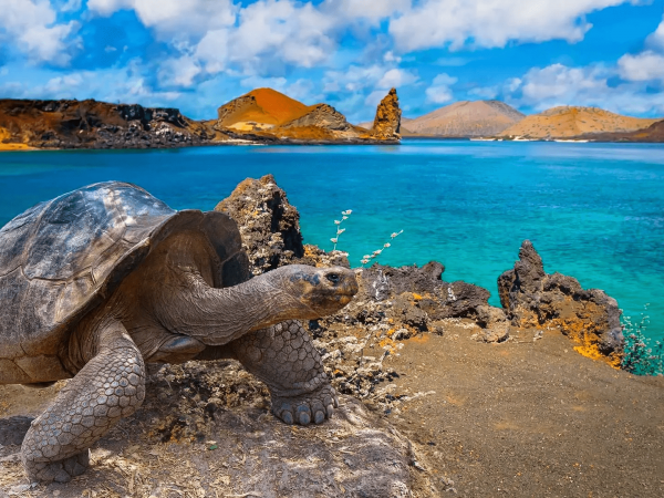 Ecuador obtiene $6 millones para proteger reservas marinas de Galápagos