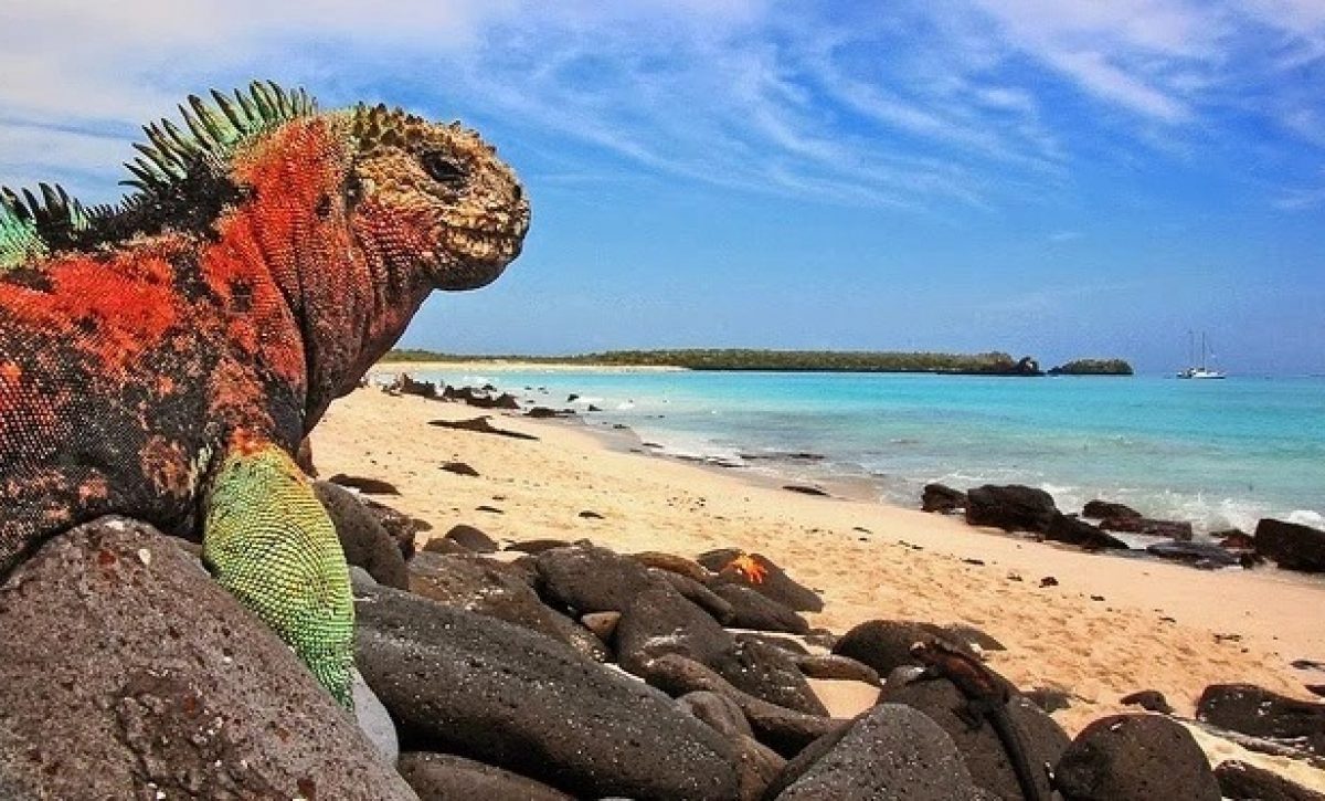 Ecuador revela estudio pionero sobre cuentas ecosistémicas de Galápagos
