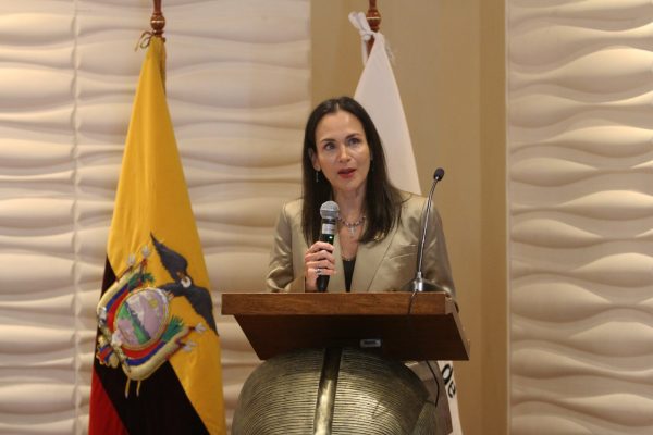 El CAL analizará solicitudes de juicio político contra la ministra Inés Manzano y Gonzalo Albán