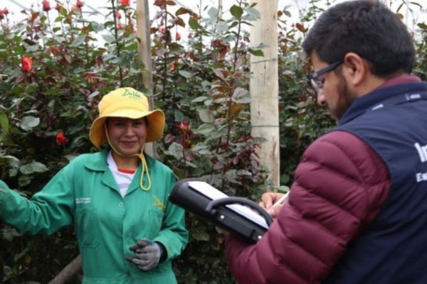 El IESS ha recuperado cerca e 15 millones de dólares en lo que va del 2025 durante inspecciones a empleadores. (IESS).