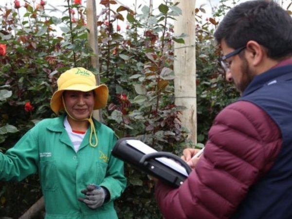 El IESS ha recuperado cerca e 15 millones de dólares en lo que va del 2025 durante inspecciones a empleadores. (IESS).