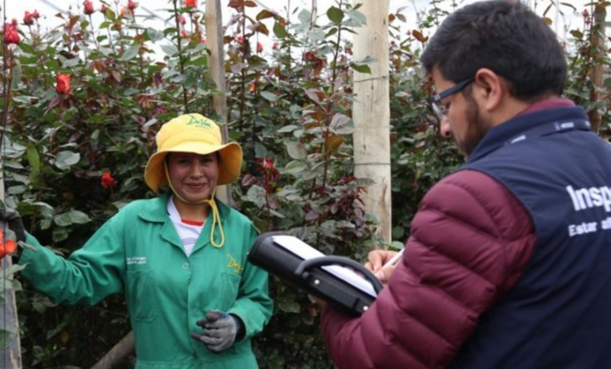 El IESS ha recuperado cerca e 15 millones de dólares en lo que va del 2025 durante inspecciones a empleadores. (IESS).