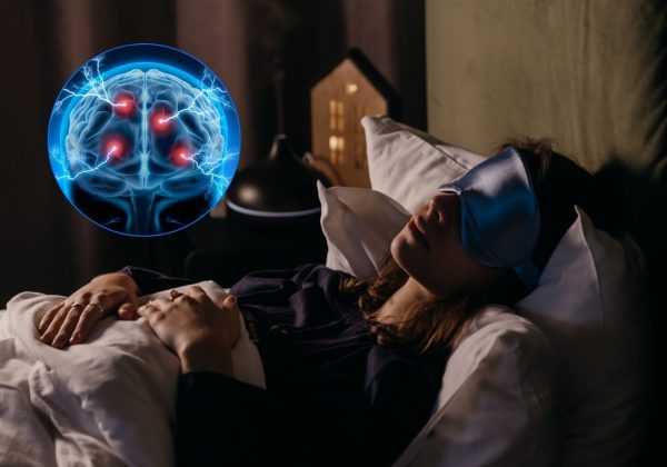 ¿El cerebro se apaga al dormir? La ciencia revela cómo funciona durante el sueño