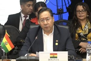 Foto/Europa Press:
El presidente de Bolivia, Luis Arce.