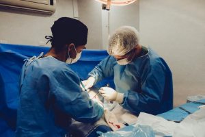 El riñón es el segundo órgano más trasplantado en unidades hospitalarias de Ecuador, lo supera la córnea. (Pexels).