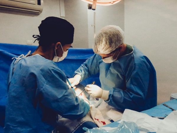 El riñón es el segundo órgano más trasplantado en unidades hospitalarias de Ecuador, lo supera la córnea. (Pexels).