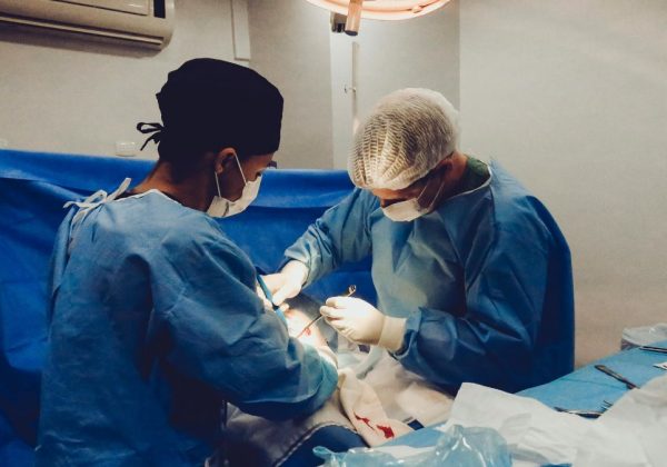 El riñón es el segundo órgano más trasplantado en unidades hospitalarias de Ecuador, lo supera la córnea. (Pexels).