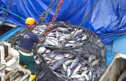 El sector atunero de Ecuador consume cerca de 43 millones de galones de diésel al año, según la Cámara Nacional de Pesquería