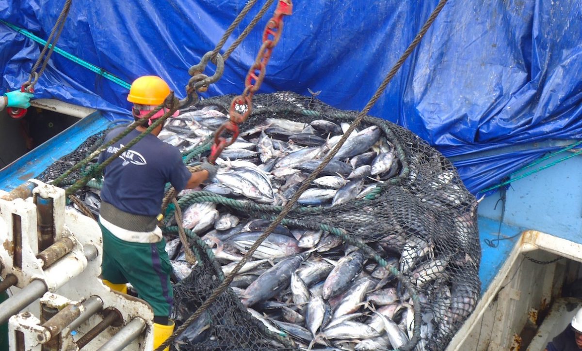 El sector atunero de Ecuador consume cerca de 43 millones de galones de diésel al año, según la Cámara Nacional de Pesquería