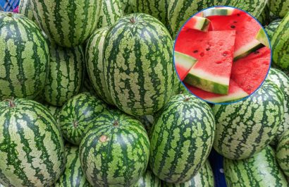 El truco más fiable para que sepas elegir una buena sandía está en este detalle