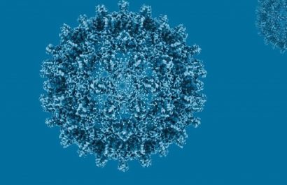 Cada 30 segundos muere una persona por hepatitis: la OMS pide actuar ya