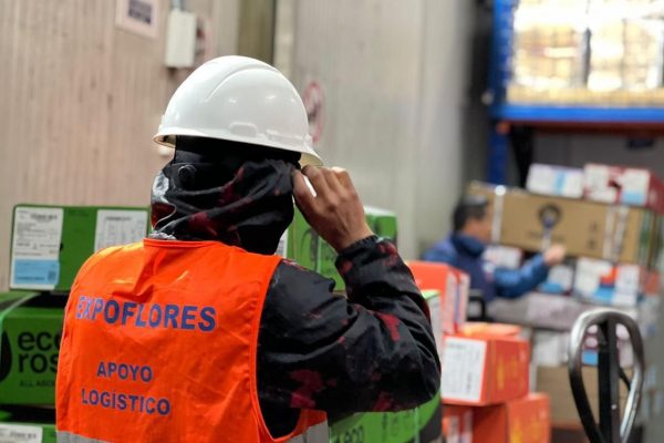 Exportación de flores ecuatorianas cayó 8% por Día de la Madre 2025 debido al clima