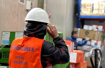 Exportación de flores ecuatorianas cayó 8% por Día de la Madre 2025 debido al clima